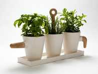 Kitchen herb pot