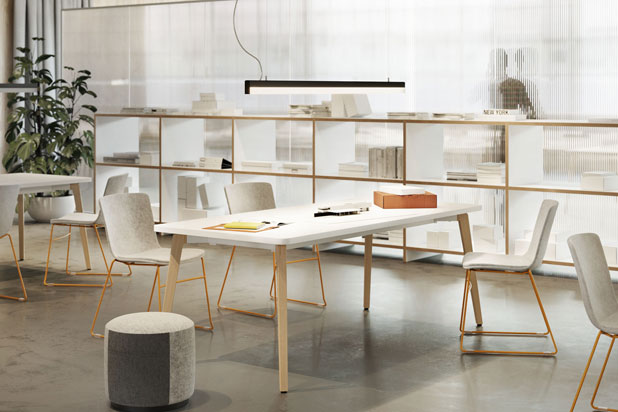 TIMBER office program. Photo. Courtesy of Forma 5