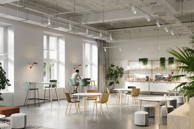 TIMBER office program. Photo. Courtesy of Forma 5