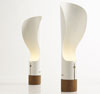 collarlamp