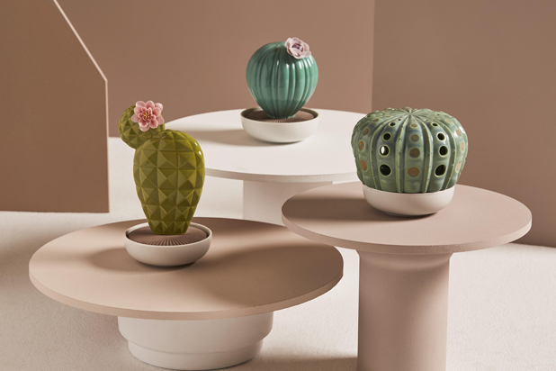 Cactus Fragrans colletion
