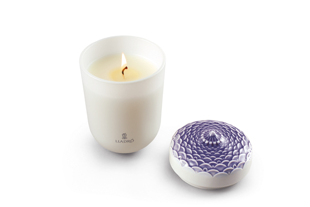 Echos of Nature colletion