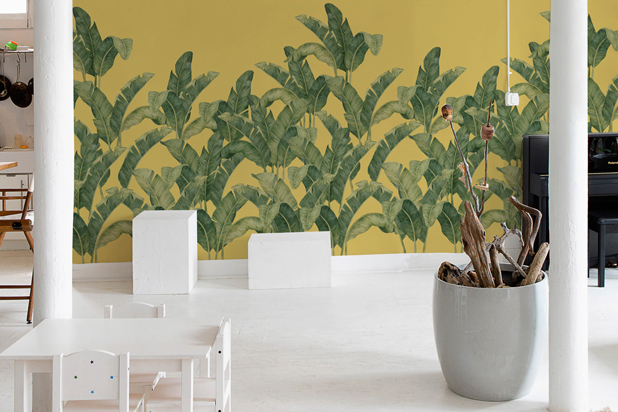 Les Vangardes – Bananella collection