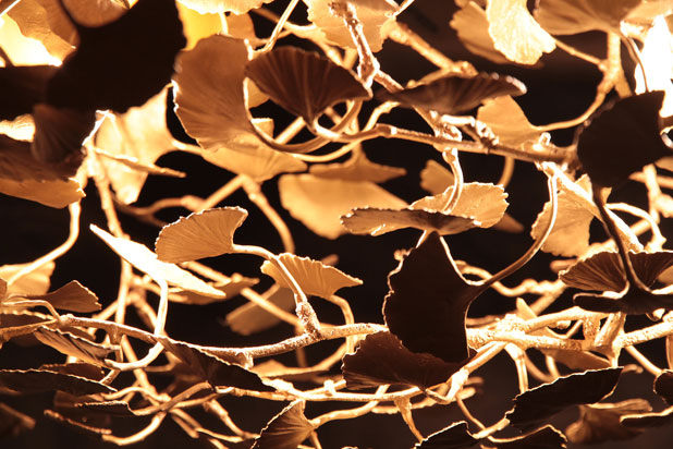 Ginkgo chandelier by Verónica Mar