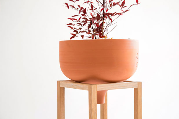 DESIGN IN/FROM SPAIN