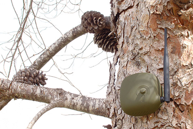 Sistema de alarma contraincendios forestales SENTICNEL diseñada por Eli Gutiérrez para Senticnel. Foto cortesía de Eli Gutiérrez.