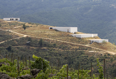 Bodega Dominio do Bibei (Galicia-España)