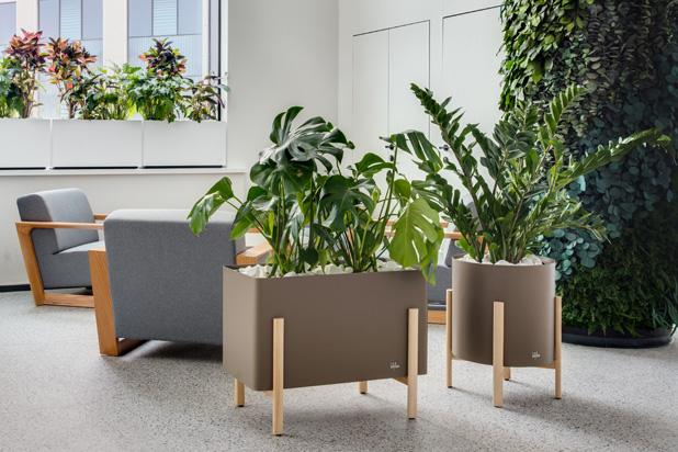 ASHI collection at the offices of the Sber bank in Belarus. Photo courtesy by Hobby Flower.