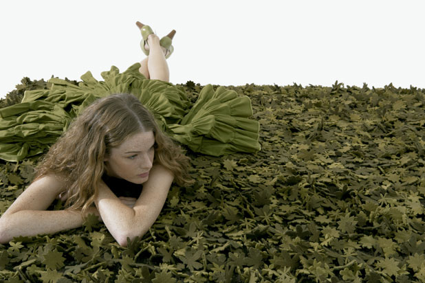 LITTLE FIELD OF FLOWERS collection, designed by Tord Boontje in 2007