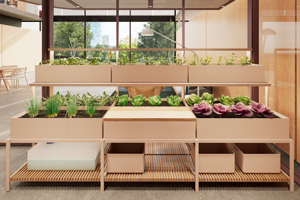 HYDROPONIC garden by Kettal. Photo courtesy of Kettal.